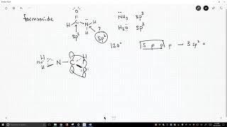 hybridization formamide [upl. by Ramoh407]