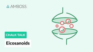 Eicosanoids Formation Function and Subclasses [upl. by Jeffcott]