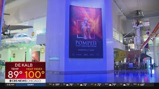 New Pompeii exhibit opening at Museum of Science and Industry [upl. by Ahsikym]