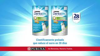 Purina® Dentalife® para Gatos [upl. by Lleneg]