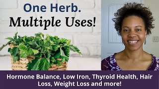 Benefits Of Stinging Nettle for Hormone Balance Low Iron Hair Loss Weight Loss Thyroid [upl. by Pet]