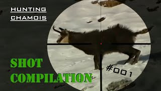 Shot COMPILATION 001 [upl. by Bambi472]