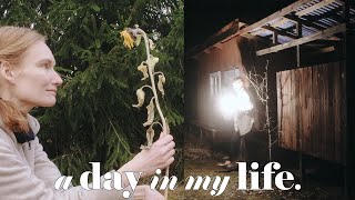 ONE DAY Rural Life Without A Car Renovating and Food Shopping  almost ASMR Story 37 [upl. by Keese]