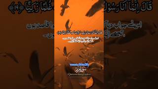 Tilawat surah Maryam verses 16 to 20 bueatifull voice tilawate youtubeshortsquranquranrecitat [upl. by Rellim]