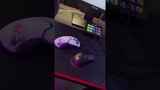 Razer Viper Mini VS Razer Viper shorts [upl. by Ahseem]