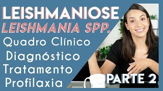 Leishmaniose Leishmania spp  Parte 2  PARASITOLOGIA 5 [upl. by Sev]