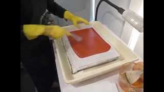 Photogravure Brush Sensitizing Process [upl. by Chassin]