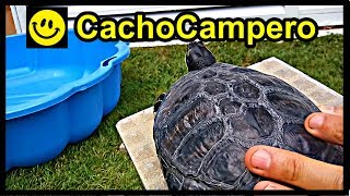 Cómo montar un estanque o acuario barato para tu tortuga de agua  1080p  Trachemys scripta [upl. by Dallas443]