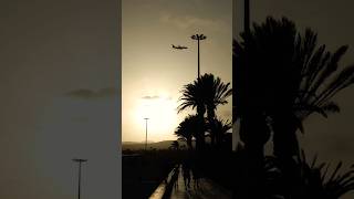 Sunset landing fuerteventura airport sunset palm canaryisland aviation goldenhour plane air [upl. by Noman]