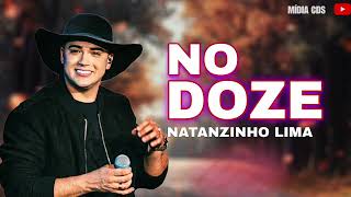 NATTANZINHO LIMA  NO DOZE  REPERTÓRIO ATUALIZADO  MUSICAS NOVAS [upl. by Arianna]