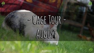 Mein Kaninchengehege  Cage Tour August [upl. by Ahser477]