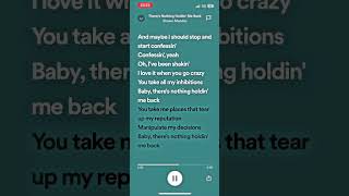 Shawn Mendes ‒ Theres Nothing Holding Me Back Lyrics [upl. by Ainevul]