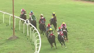 BRILLIANT LIGHT with P Kiran Rai up wins The Coorg Plate Div1 2024 RACE 58 [upl. by Nahtaoj]