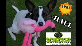 Schecker Haul  shoppen für den Hund 🐶 [upl. by Sheepshanks]