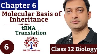 Chapter 6  Molecular Basis of Inheritance  06  tRNA  Translation  Class 12 Biology Neet NCERT [upl. by Enobe739]