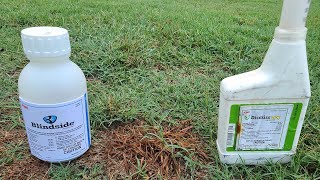 2 Products To Kill Weeds Fast WITHOUT Killing the Grass [upl. by Cherish307]