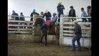 Rodeo workshop for Indigenous youth promotes clean and healthy lifestyles [upl. by Tiraj]