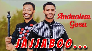 Andualem Gosa  Jajjaboo New Oromo Music 2024 remix newalbum ayaantu [upl. by Ynolem484]