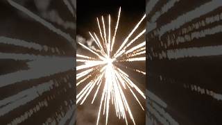 Vivid pyrotechnics REEPERS fireworksuk [upl. by Arhat]