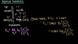 The Nernst Potential and The Cell Membrane  Bioinstrumentation Design [upl. by Tiemroth]