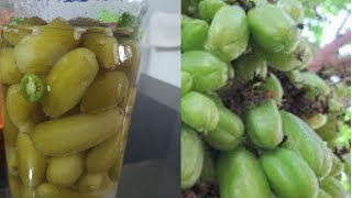 Bilimbi Salted ഇരുമ്പൻ പുളി ഉപ്പിലിട്ടത്  ഓർക്കാ പുളി ഉപ്പിലിട്ടത് Irumban puli uppilitta thu [upl. by Sherwynd]