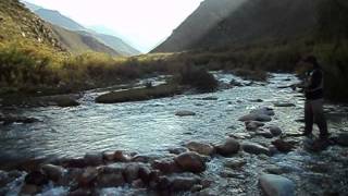 pesca con mosca en el arroyo grande del manzano [upl. by Rofotsirk893]