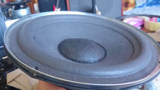 RCF L8011 from RCF BR4020 speakers  FreeAir Test [upl. by Ecneitap]