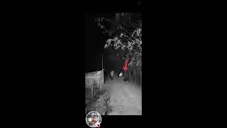 Ankit vishnoi haridwar is live real ghost [upl. by Ibbed927]