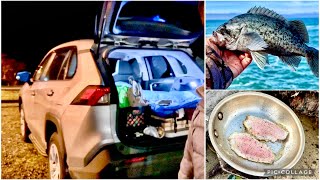 Camping in RAV4 LE AWD  Fishing Catch amp Cook [upl. by Russ]