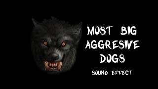 Most big aggressive dogs bark amp growl  True recording sound effects HQ [upl. by East]