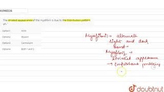 The striated appearance of the myofibril is due to the distribution pattern of [upl. by Nangatrad]