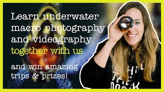 Learn MACRO underwater filmmaking and photography and win amazing trips amp prizes [upl. by Nibas736]