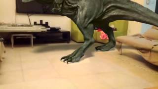 T Rex in our living room [upl. by Droffats913]