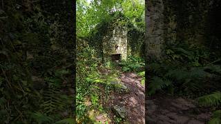 Ruined house beside Rowchoish bothy Scotland westhighlandway hiking scotland [upl. by Yrhcaz958]