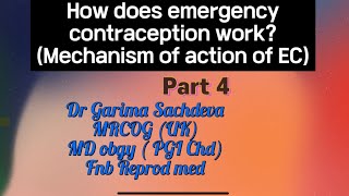 How does emergency contraceptive act  part 4 Mechanism of action of EC [upl. by Scheider]