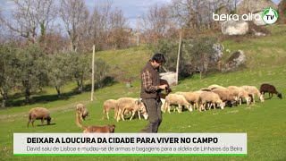 Deixar a loucura da cidade para viver no campo [upl. by Murage]