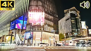 Tokyo Walk  Tokyo Station  Ginza JAPAN 4K [upl. by Koffman]