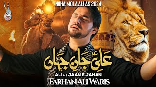 Ali Jan E Jahan  New Nohay 2024  Farhan Ali Waris  Mola Ali [upl. by Urian]