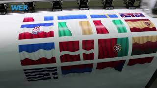 eco solvent printer review video 16m 5ft WER ES160 for printing banner clothflag [upl. by Arres]