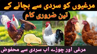 Murgi ko sardi se kaise bachaye  Chicken winter care  murgi palan ka tarika  Tips n Tricks [upl. by Yatnahs]