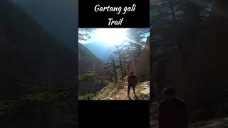 Gartang gali trail  harsil valley  Sam bisht [upl. by Dloreh781]