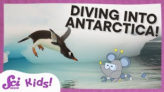 Exploring Antarctica From Penguins to the Coldest Seas  SciShow Kids Compilation [upl. by Notsirb925]