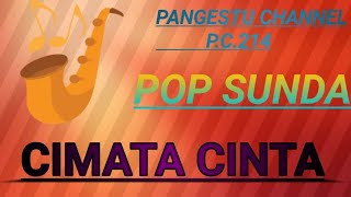 CIMATA CINTACOVER BY PANGESTU CHANNEL [upl. by Topper662]