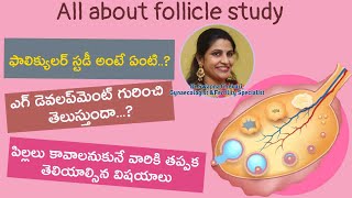 ఫాలిక్యులర్‌ స్టడీ స్కాన్‌ అంటే ఏంటి  Follicle Development and Ovulation  Dr Swapna Chekuri [upl. by Cross973]