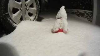 Time lapse 10 inches of snow in 30 seconds  Jan 12 2011 snow storm [upl. by Lrat316]