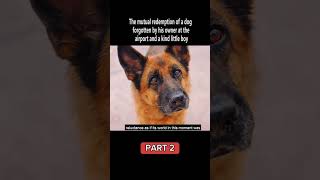 TITLE A Dog Named Palma PART 2 movie shortflim clips dog shorts views grow [upl. by Hareenum]