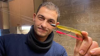 Lure Fishing For Beginners  Soft Plastics Lure Texas Rig Carolina Rig and Dropshot [upl. by Neelhsa]