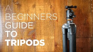 Beginners Guide to Tripods  Benefits How to Use Recommended Tripod Gear [upl. by Sisto]