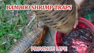 FRESH SHRIMP FROM RIVERBAMBOO SHRIMP TRAPSPROVINCE LIFE [upl. by Melia]