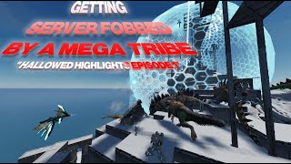 Ark Official PVP  AOD  PVP HIGHLIGHTS 2  Ark Survival Ascended [upl. by Kraul]